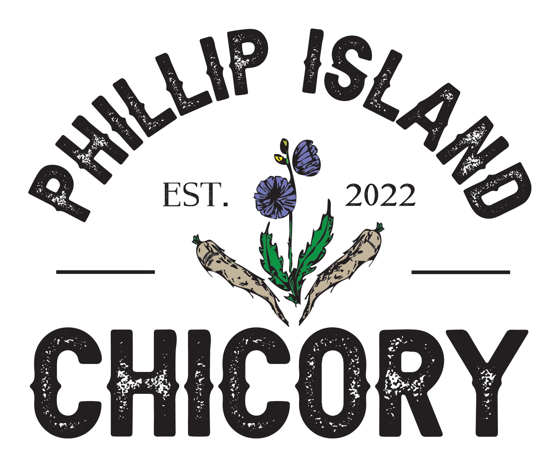 Home Phillip Island Chicory